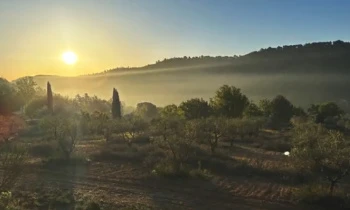 vidéo