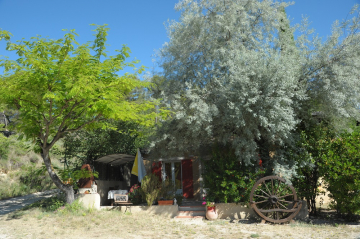 shaded cottage in summer with a bohemian olive tree © Oustaou du Luberon